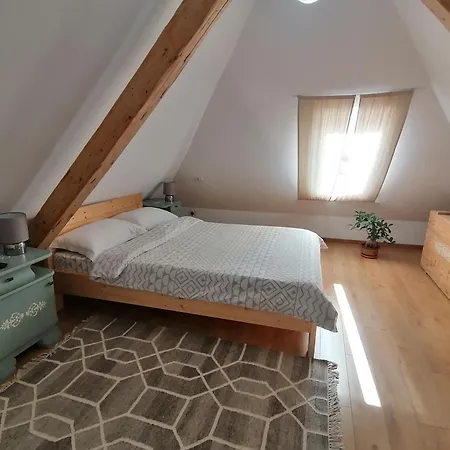 Casa Bologna 브라쇼브