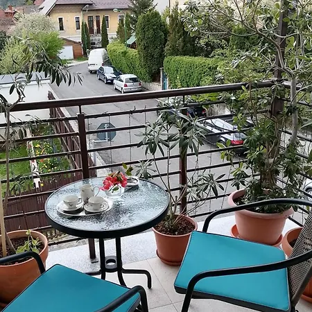 Casa Bologna Accommodatie bij particulieren Braşov