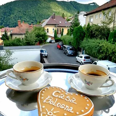 Δωμάτια σε οικογενειακή κατοικία Casa Bologna Μπρασόβ