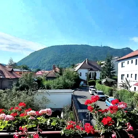 Casa Bologna Homestay *