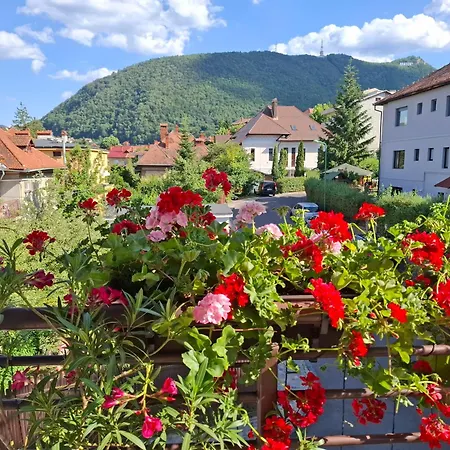 Casa Bologna * Braşov