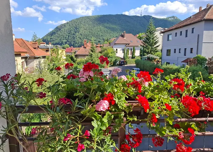 Casa Bologna * Braşov